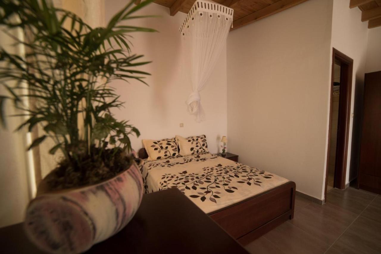 Bodikos Apartments Pitsidia Extérieur photo